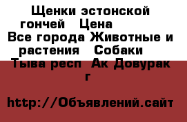 Щенки эстонской гончей › Цена ­ 7 000 - Все города Животные и растения » Собаки   . Тыва респ.,Ак-Довурак г.